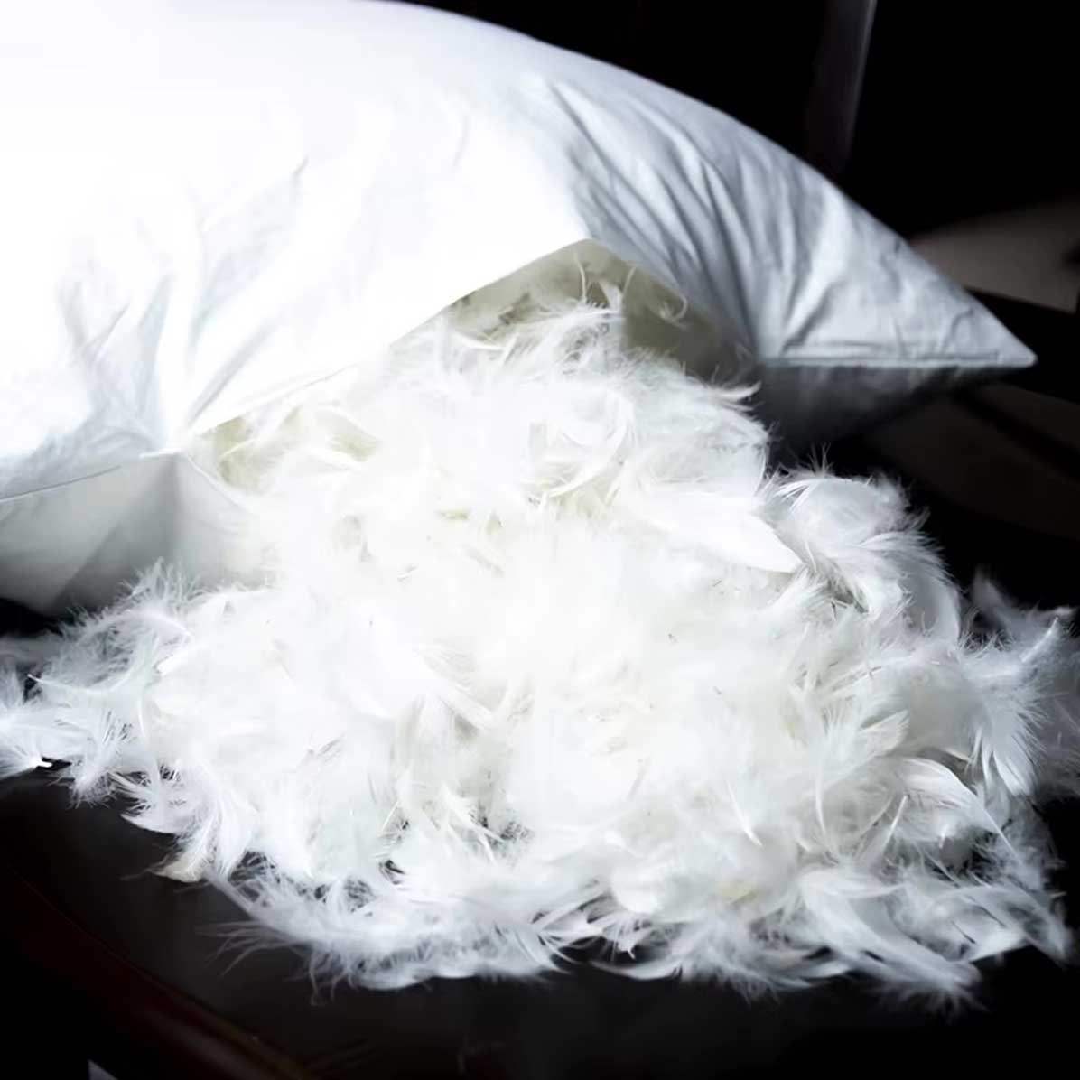 Forme de coussin 20x20 en plume-duvet fait au Canada